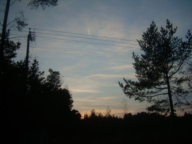 Saknade skog