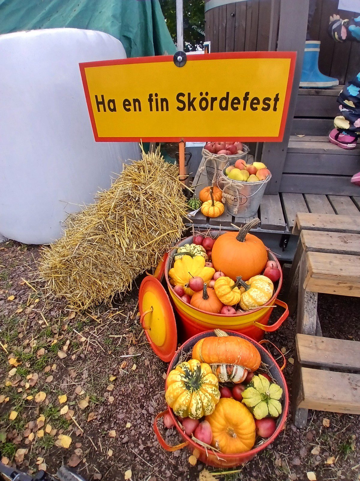 Månadens vykort: Skördefesten på Mickels gård